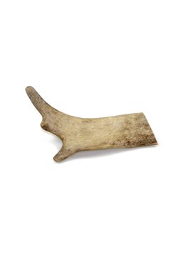 Marp Holistic - Fallow deer antler, size S