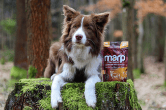 Marp Holistic – Getreidefreier Lammsnack mit Petersilie