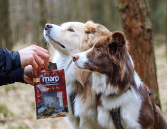 Marp Treats Dried Liver