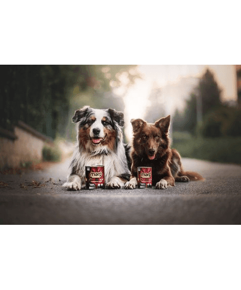 Marp Venison Nassfutter für Hunde mit Wild