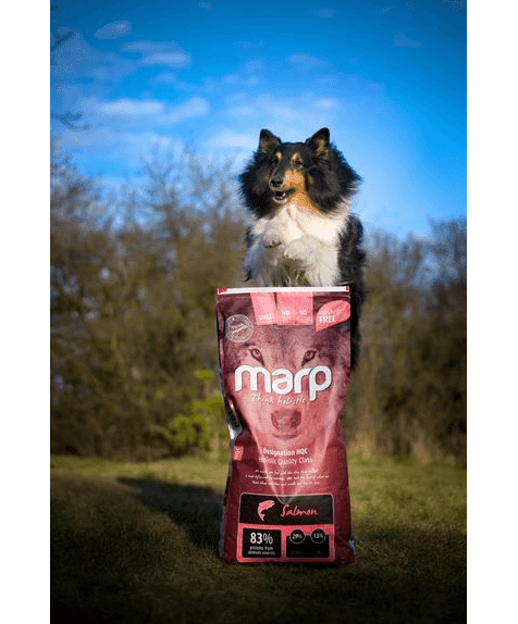 Marp Holistic Salmon - getreidefrei mit Lachs 12kg