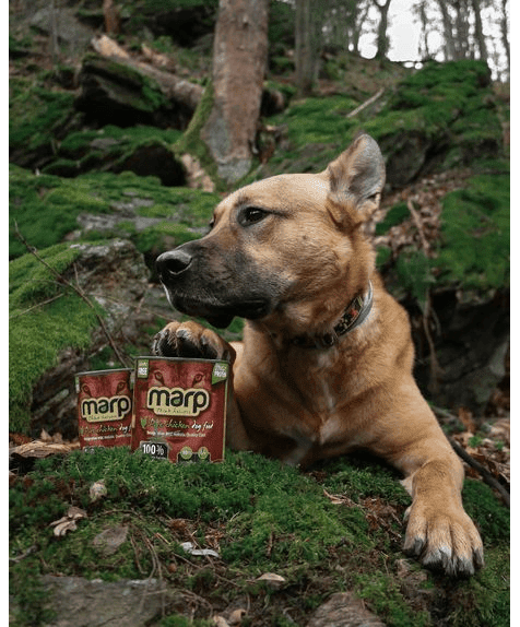Marp Chicken Nassfutter für Hunde mit Huhn 800g