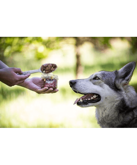Marp Holistic Plus - 100% Rindfleisch im Glas für Hunde 200g