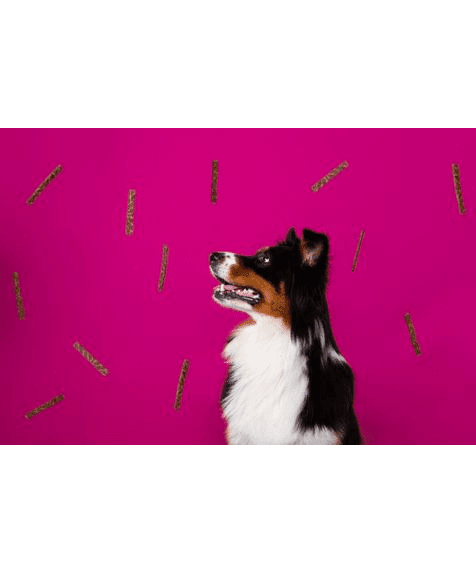 Marp Holistic Plus - Turkey Treats for Dogs