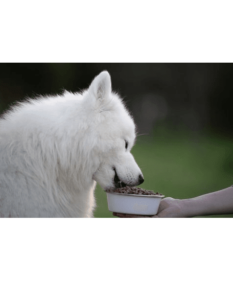 Marp Holistic White Mix LB - für große Rassen getreidefrei 12kg