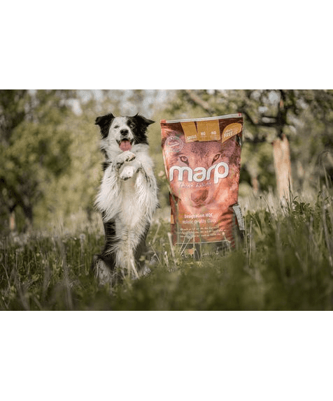 Marp Holistic Lamb - getreidefrei mit Lamm 12kg