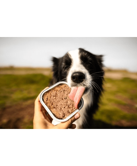 Marp Lamb Tray for Dogs