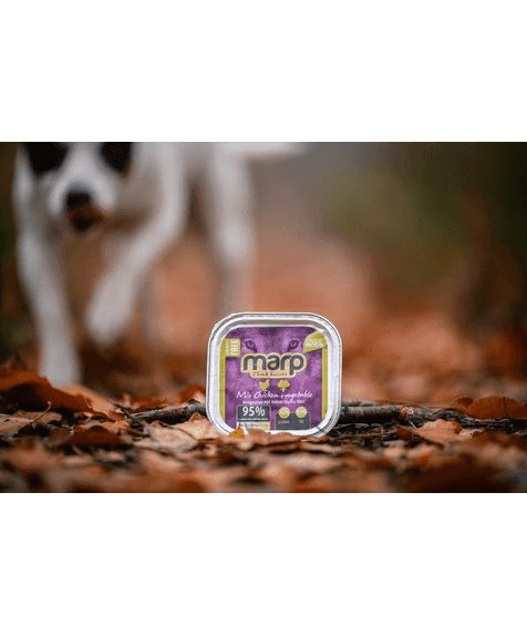 Marp Mix Tray for Dogs – Chicken with Vegetable 16x100g