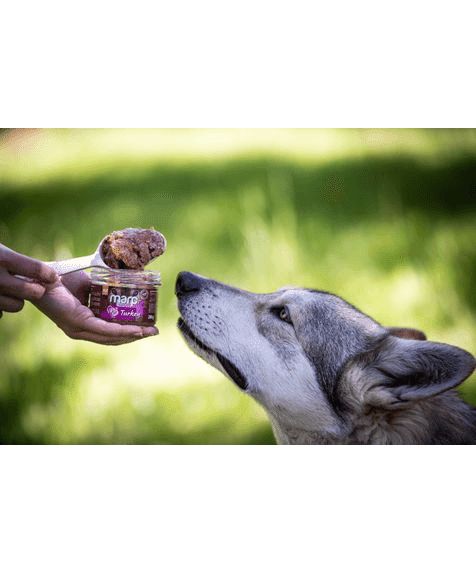 Marp Holistic Plus - 100% Turkey in a Jar for Dogs 200g