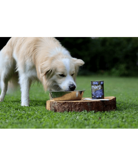 Marp Variety Single Tuna Nassfutter für Hunde mit Thunfisch 6x400g