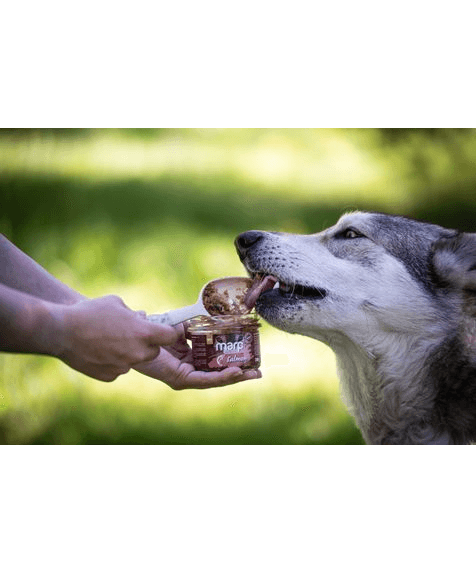 Marp Holistic Plus - 100% Lachs im Glas für Hunde 200g