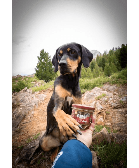 Marp Holistic Plus - 100% Rindfleisch im Glas für Hunde 200g