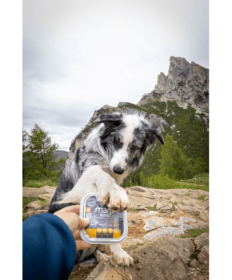 Marp Natural Plus Tray for Dogs – Lamb and Beef 12x150g