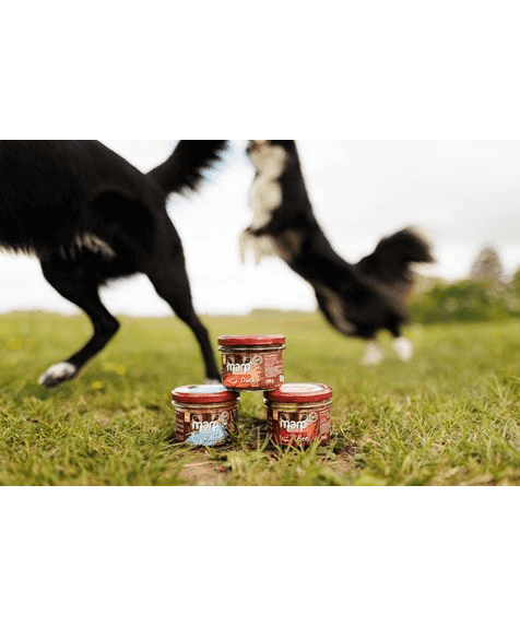 Marp Holistic Plus - 100% Duck in Jar for Dogs 200g
