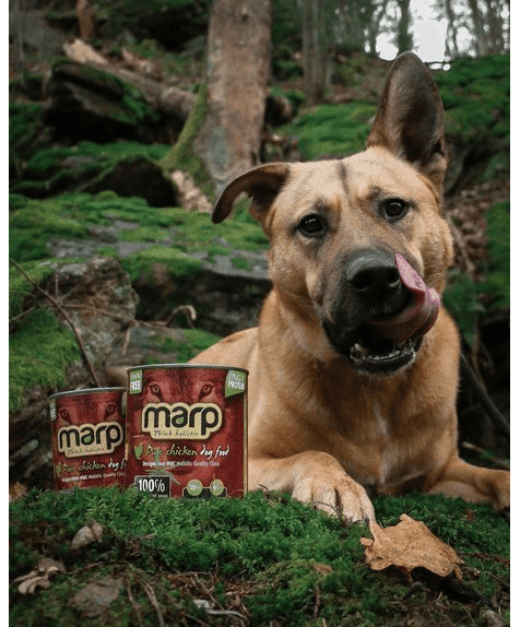 Marp Chicken Canned Dog Food 6x800g