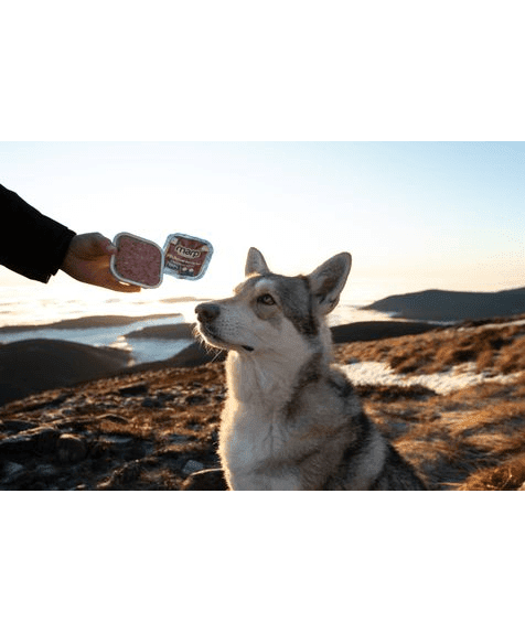 Marp Wild Boar Tray for Dogs