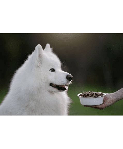 Marp Holistic White Mix LB - für große Rassen getreidefrei 12kg