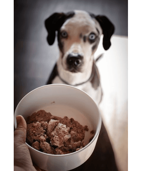 Marp Mix Nassfutter für Hunde mit Huhn und Gemüse