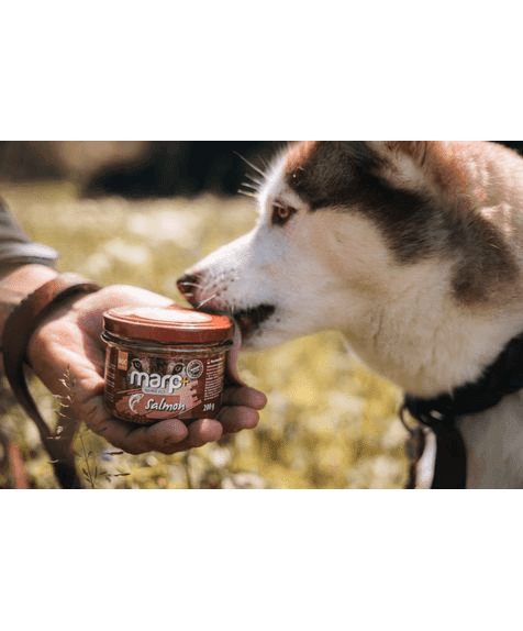 Marp Holistic Plus - 100% Lachs im Glas für Hunde 200g