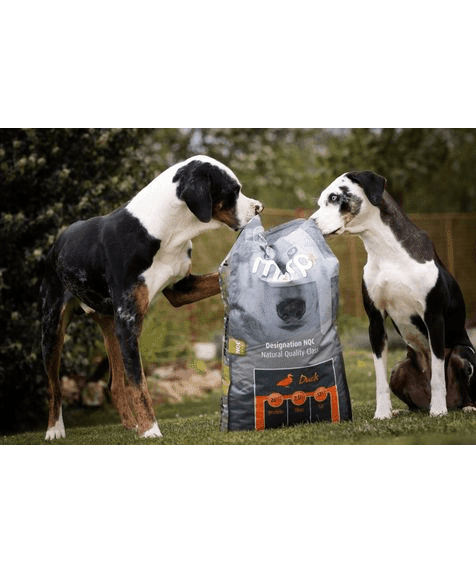 Marp Natural Plus kachna 12kg