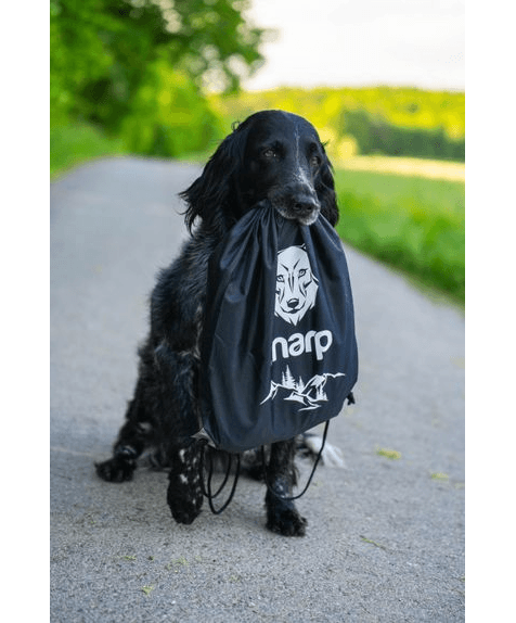 Marp Sports Backpack