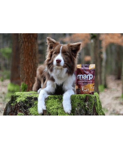 Marp Holistic – Lamb Treats with Parsley Grain-Free
