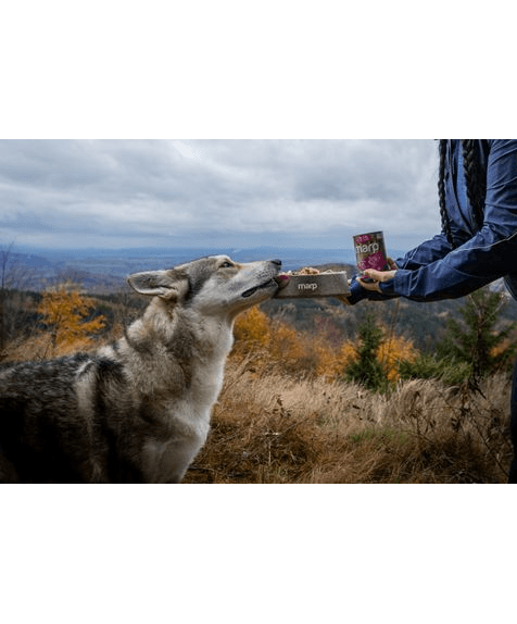 Marp Variety Single Turkey Nassfutter für Hunde mit Pute