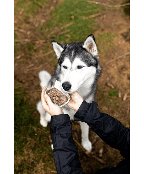 Marp Lamb Tray for Dogs 16x100g