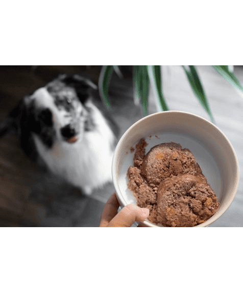 Marp Mix Nassfutter für Hunde mit Lamm und Gemüse
