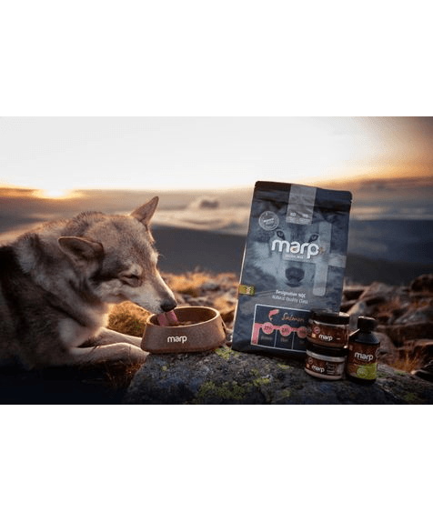 Marp Natural Plus Salmon