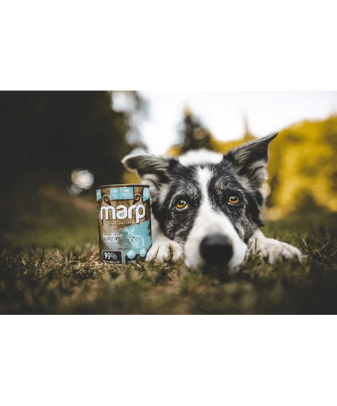 Marp Variety Single Rabbit Nassfutter für Hunde mit Kaninchen