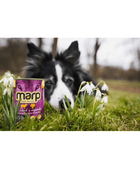 Marp Mix Nassfutter für Hunde mit Lamm und Gemüse