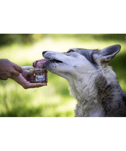 Marp Holistic Plus - 100% Wild im Glas für Hunde 200g