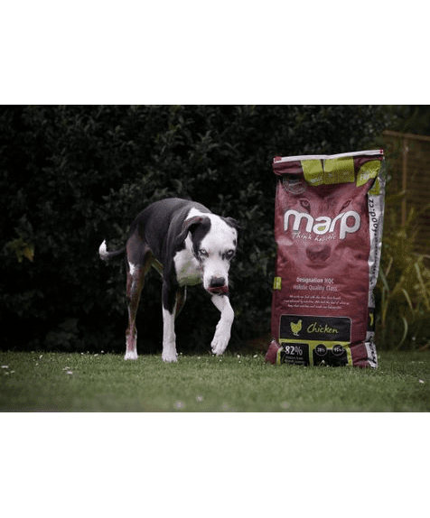 Marp Holistic Chicken - getreidefrei mit Huhn 12kg