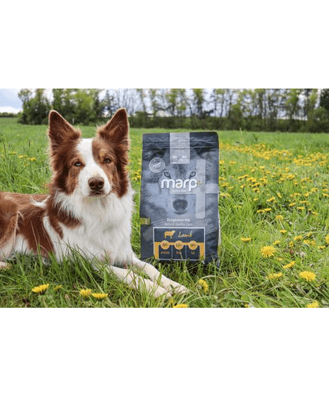 Marp Natural Plus Lamb
