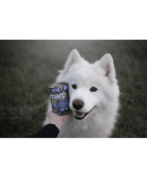 Marp Variety Single Tuna Nassfutter für Hunde mit Thunfisch 6x400g
