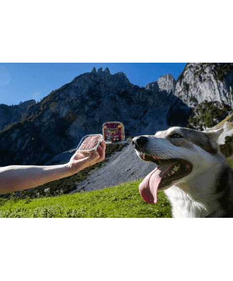 Marp Mix Tray for Dogs – Lamb with Vegetable 16x100g