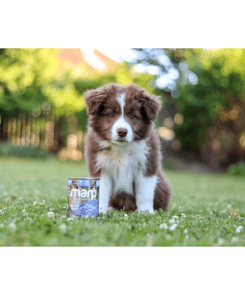Marp Variety Single Tuna Nassfutter für Hunde mit Thunfisch