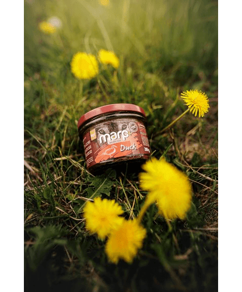 Marp Holistic Plus - 100% Duck in Jar for Dogs 200g