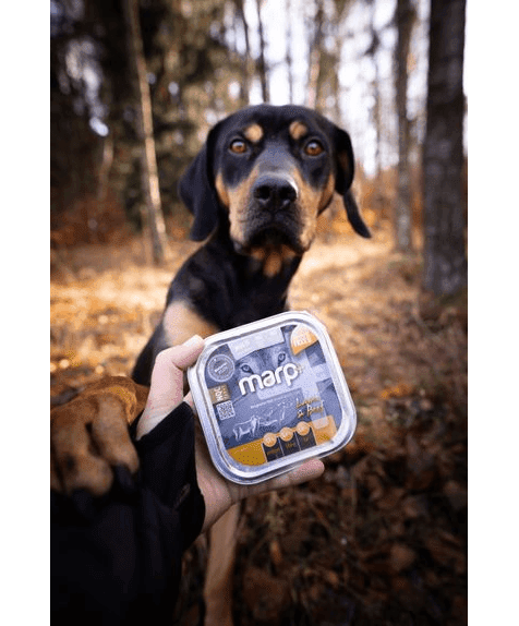 Marp Natural Plus Tray for Dogs – Lamb and Beef