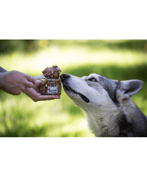 Marp Holistic Plus - 100% Wild im Glas für Hunde 200g