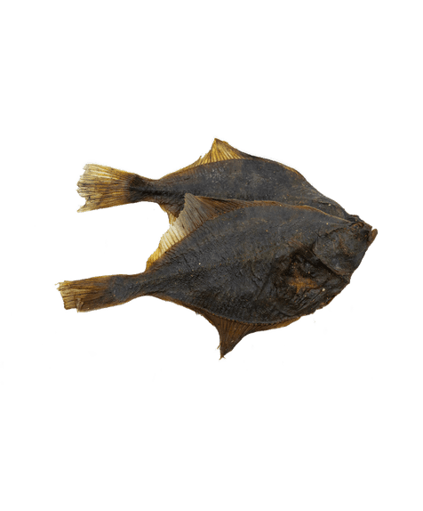 Marp Holistic - Dried Flounder