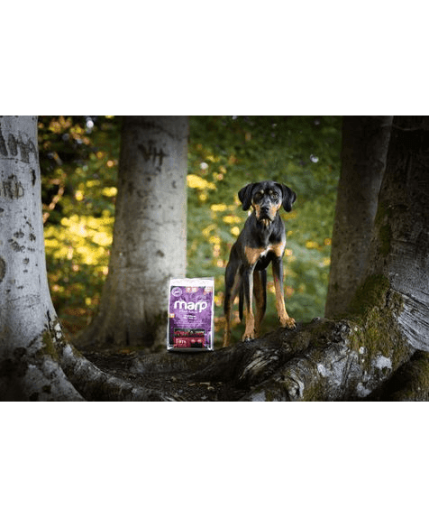 Marp Holistic Red Mix – getreidefrei mit Rind, Pute und Wild
