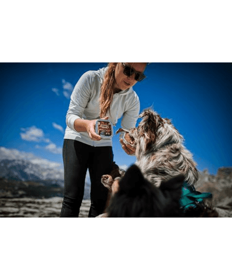 Marp Wild Boar Tray for Dogs