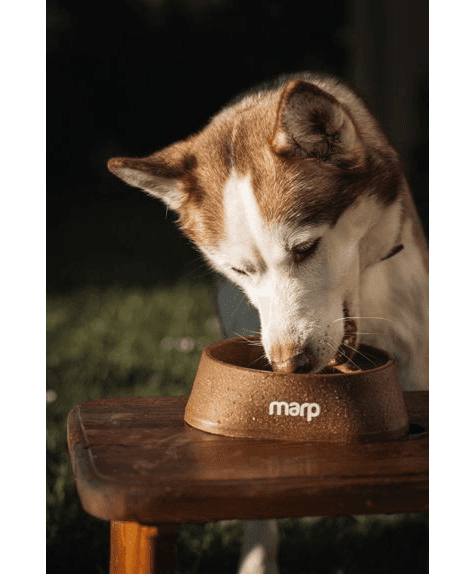 Marp Ecological Bowl L 700ml