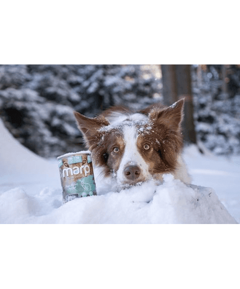 Marp Variety Single Rabbit Nassfutter für Hunde mit Kaninchen
