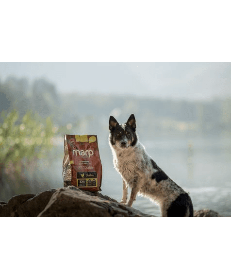 Marp Holistic Chicken - kuřecí bez obilovin