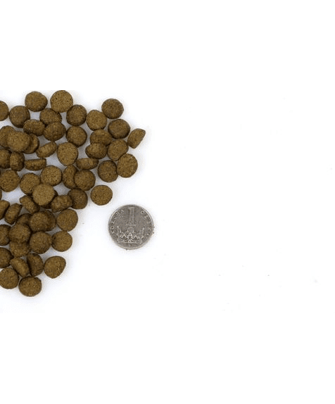 Marp Holistic Indoor CAT - for Adult and Senior Cats 2kg