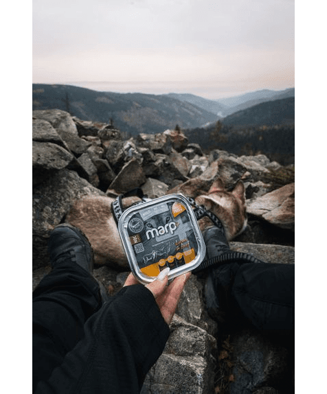 Marp Natural Plus Tray for Dogs – Lamb and Beef