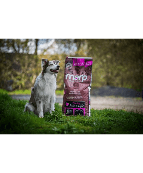 Marp Holistic Pute S&L - Senior&Light getreidefrei mit Pute 12kg